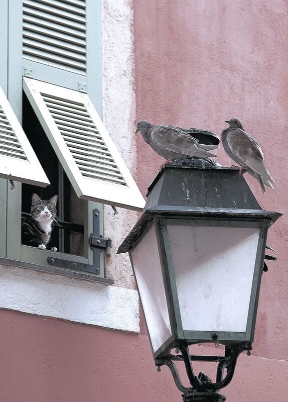 _红土挑战赛:泥土之上演绎速度与技巧的盛宴_,红土是红泥吗