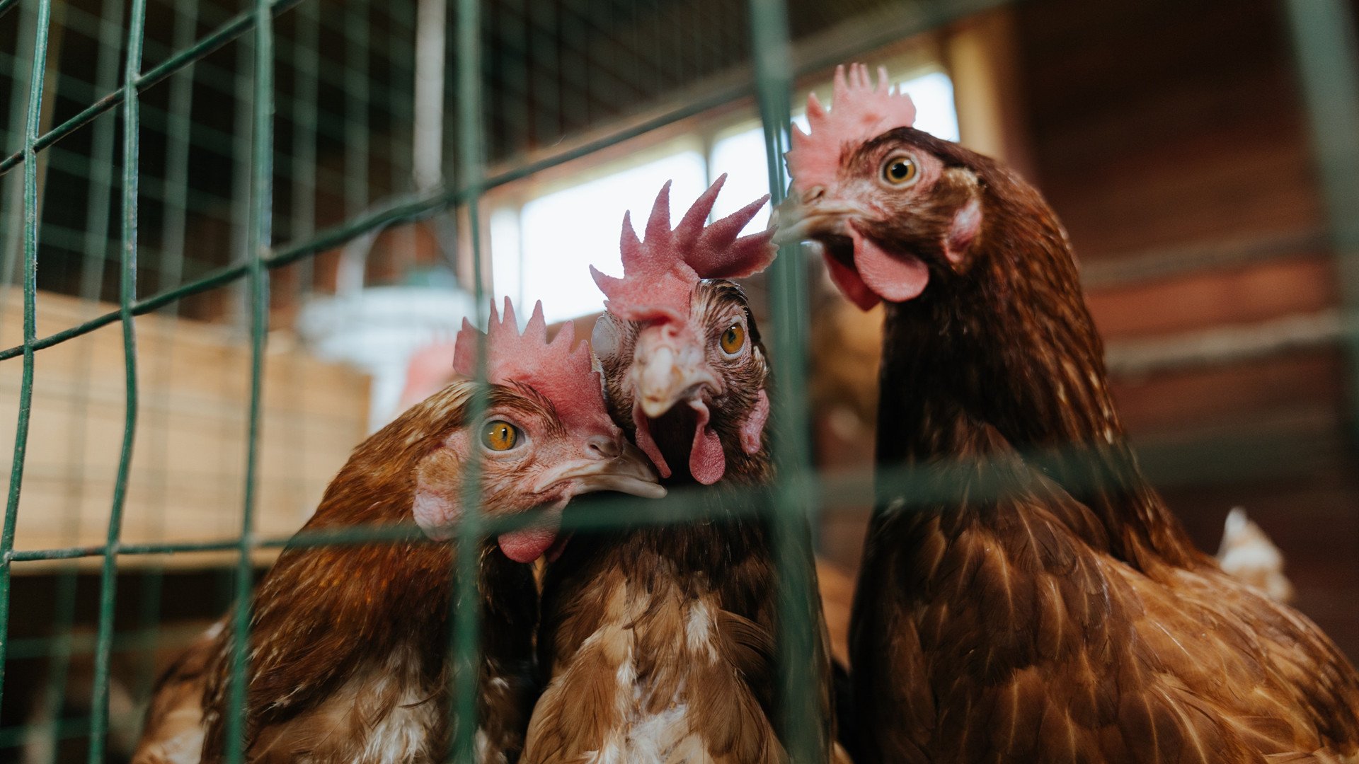 “科目三”广场舞在广西大化县火爆出圈,广西科目三考试最新视频