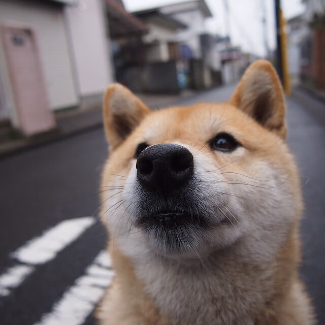 《女性电竞崭露头角:赛场精彩不断》,女子电竞什么意思