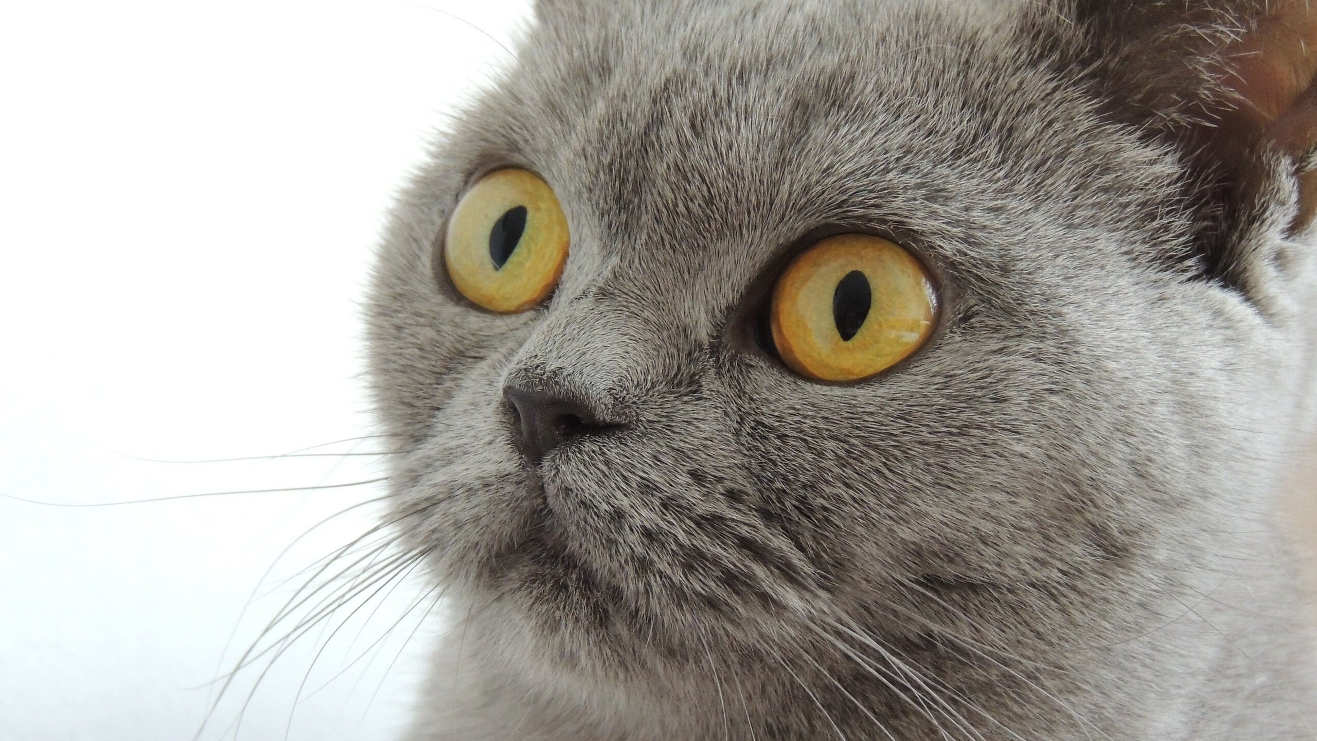 开云官方-【大数据助力】如何让战术决策更科学、更精准？，战术决策案例