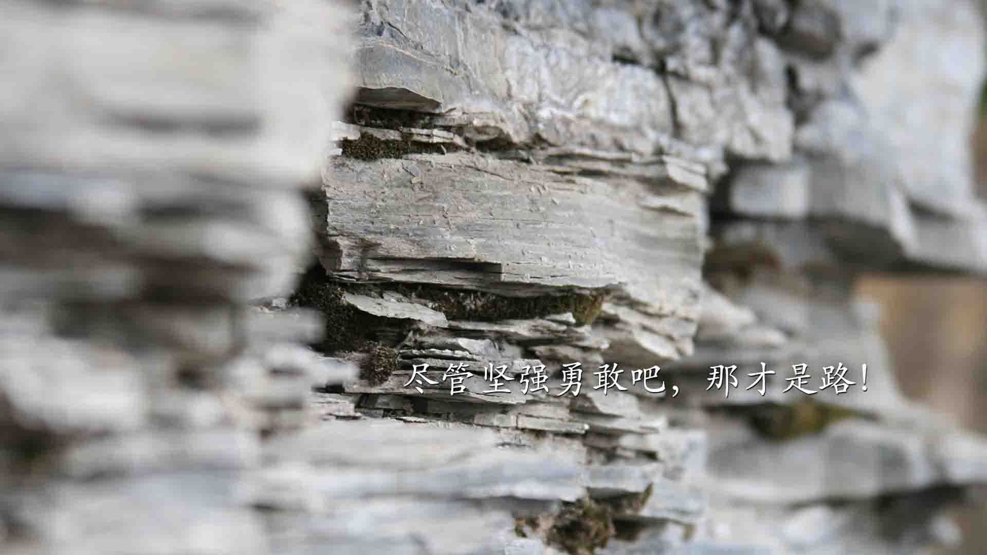 开云官网APP下载-【本周焦点】季中比赛中最难忘的三场战役