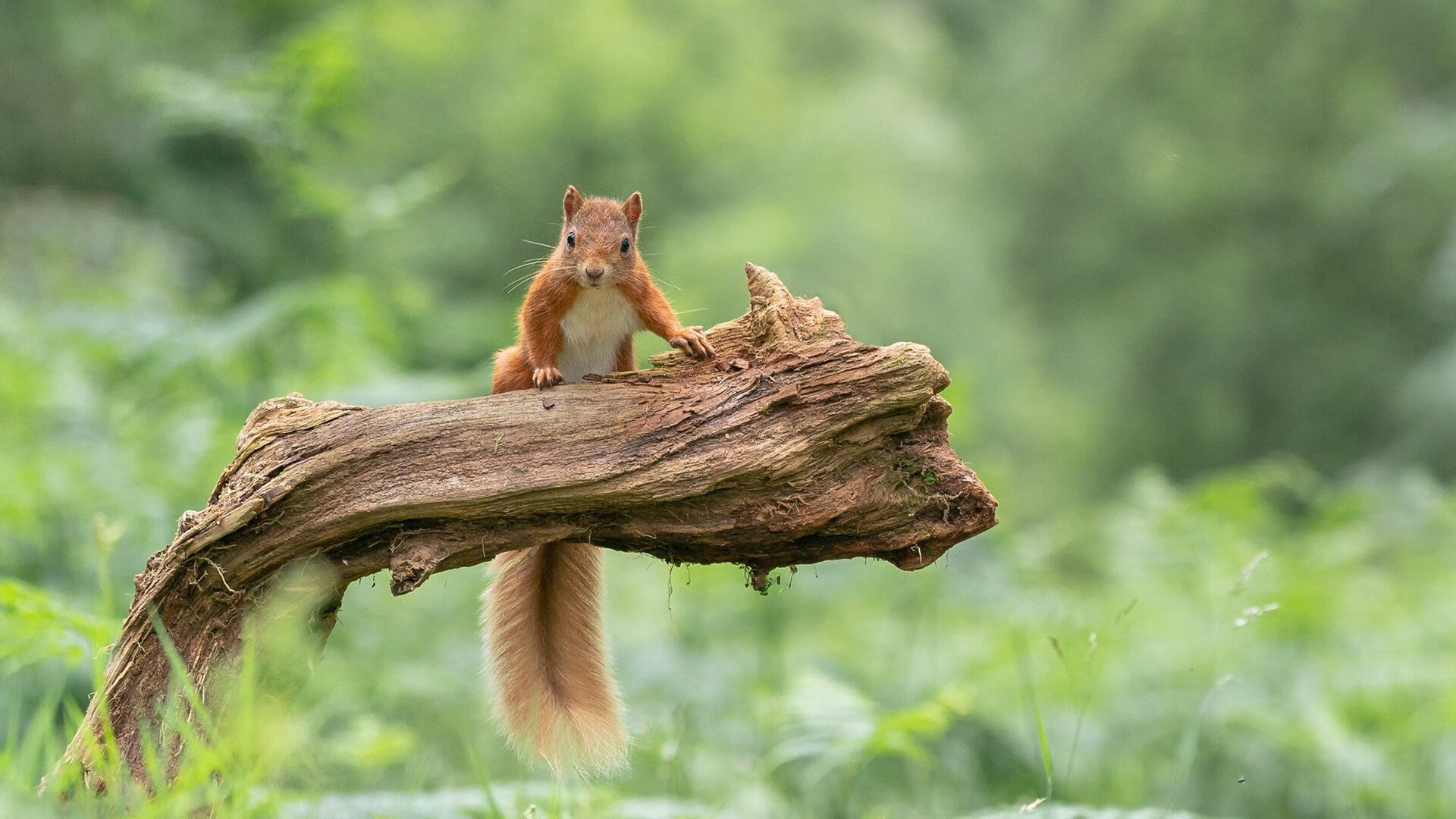 开云体育APP下载-青少年“未来先锋”青训先锋榜在南京正式揭幕，青少年未来领袖训练营