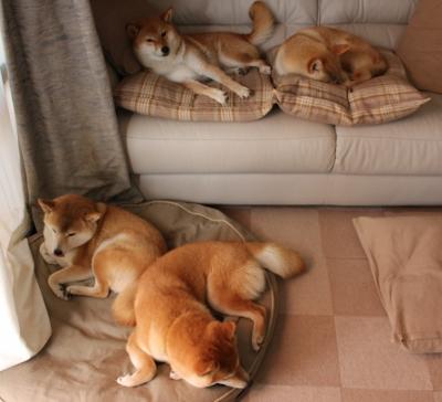 火箭队外线轮换频繁,稳定性受到质疑,火箭队怎么掉线了