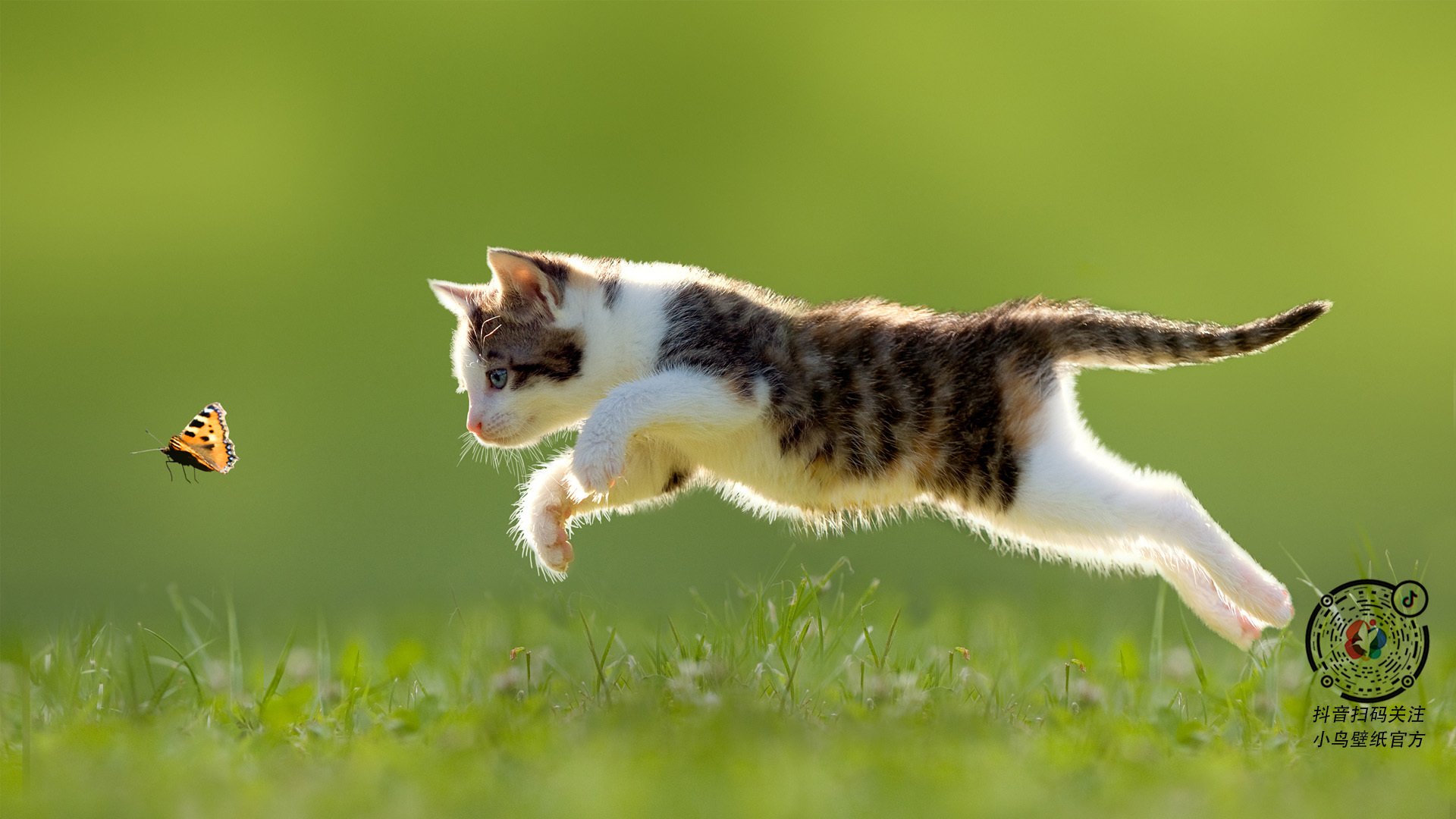 篮球赛场领头羊将参加重要国际赛,篮球国际赛事有哪些