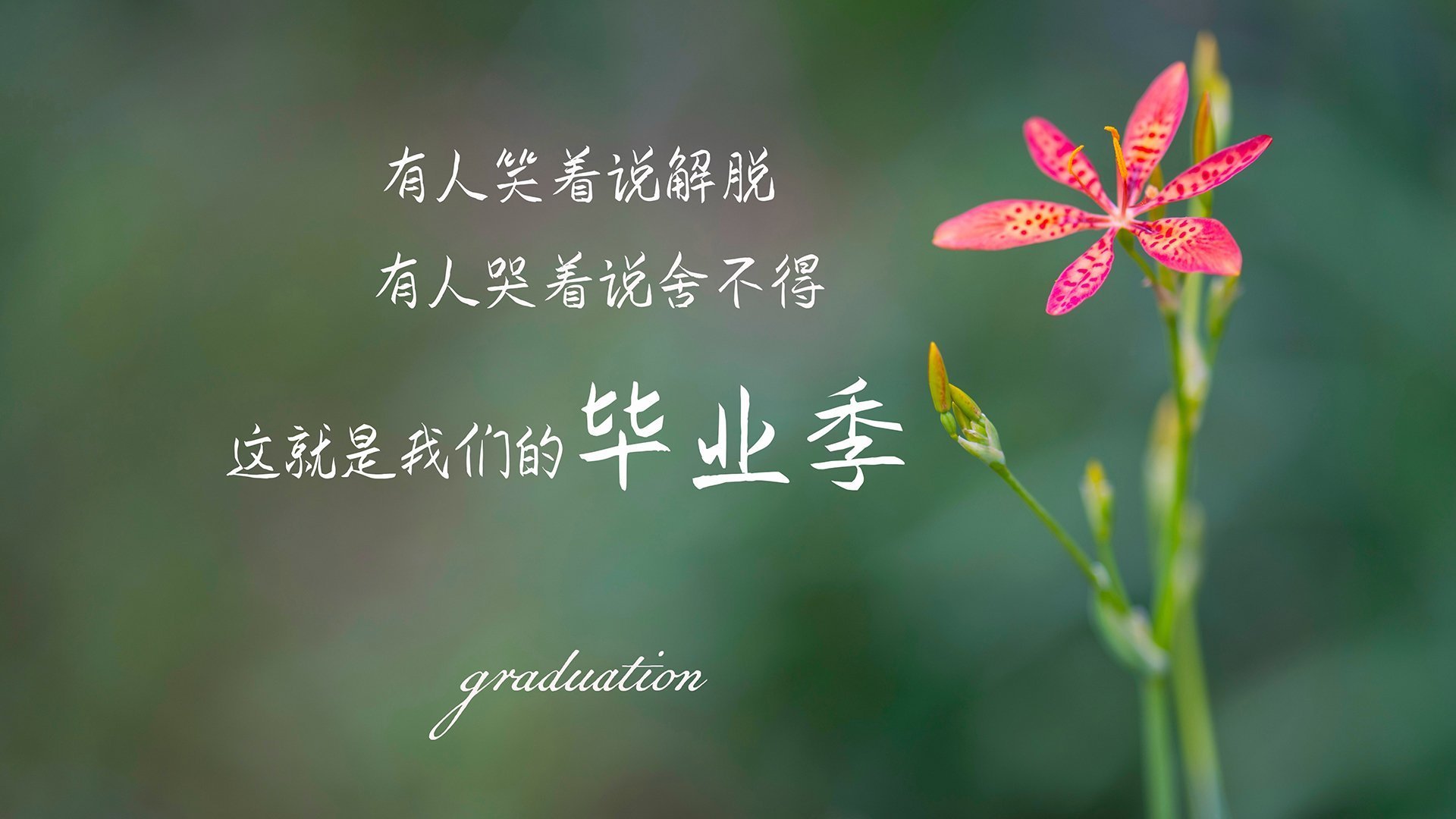 胜负悬念令人紧张,球员倾尽全力,胜负胜负