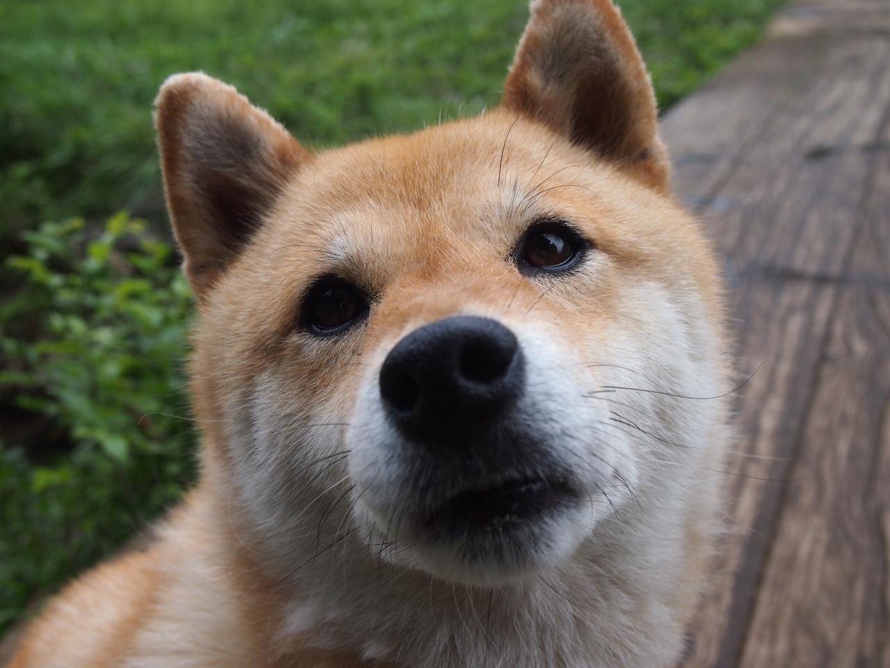 NBA球队单节得分波动性与比赛结果关联研究,nba单节队伍得分