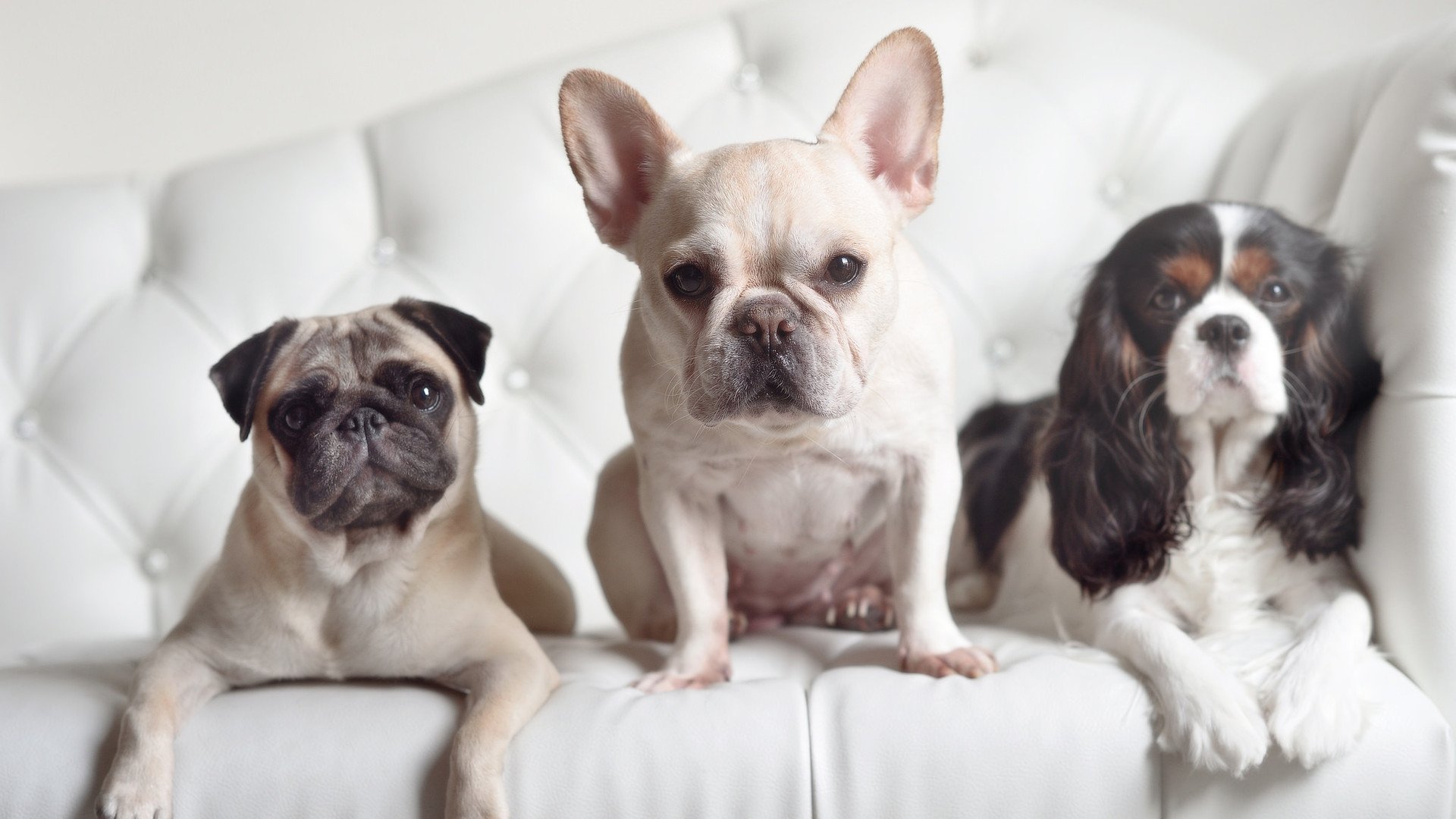 世界青少年游泳锦标赛中国队再添金牌,2021年青少年游泳锦标赛