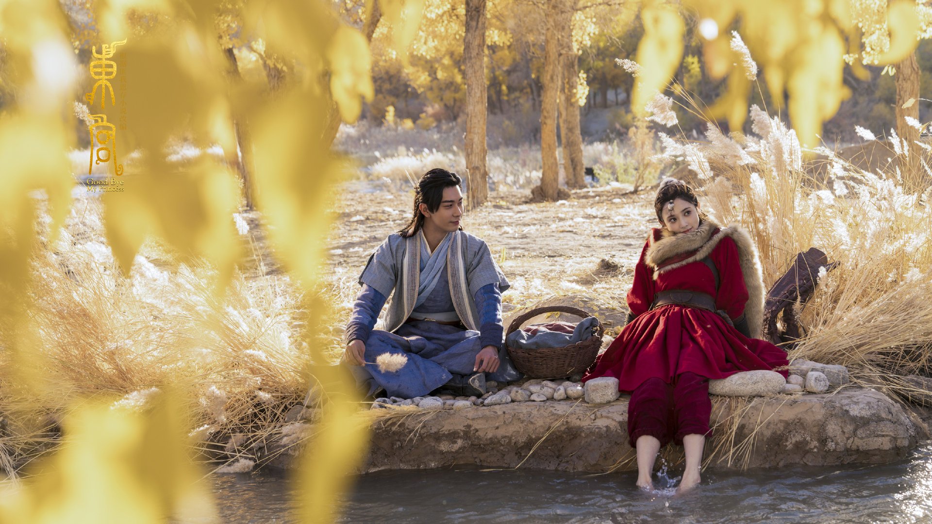 中国篮球教练员心理辅导能力提升及培训机制建设,篮球教练员素养