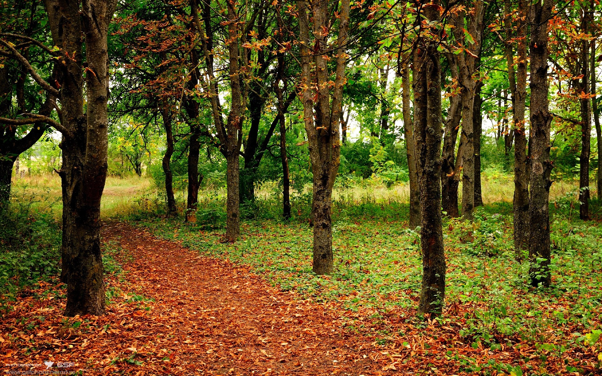 开云体育APP下载-体育赛事保险服务体系设计与风险评估模型，体育赛事的风险管理