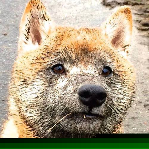 体育赛事风险评估与控制，体育赛事风险评估与控制论文