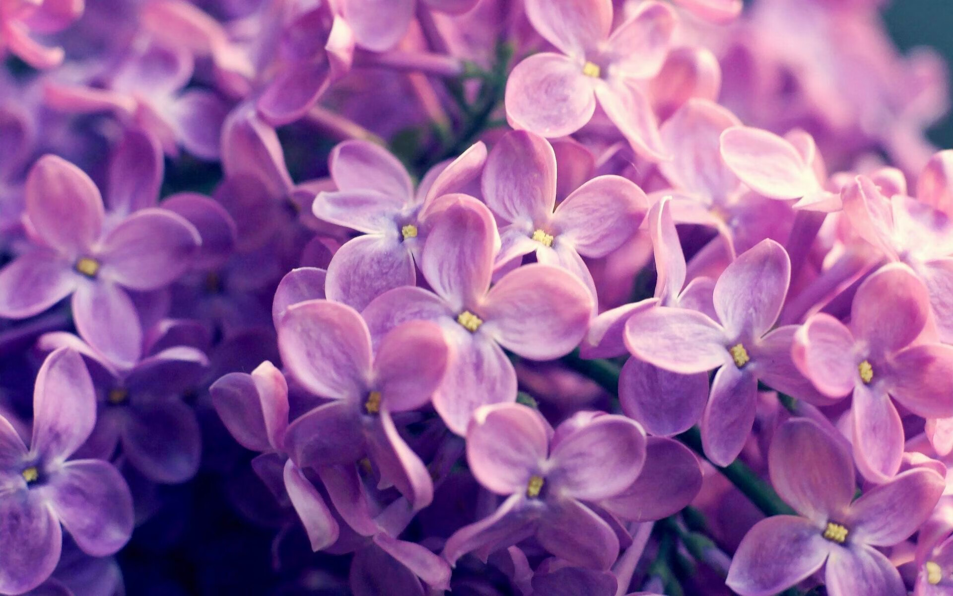 开云官方-“沙滩赛场迎来高水平对决，手球与合球同台竞技”