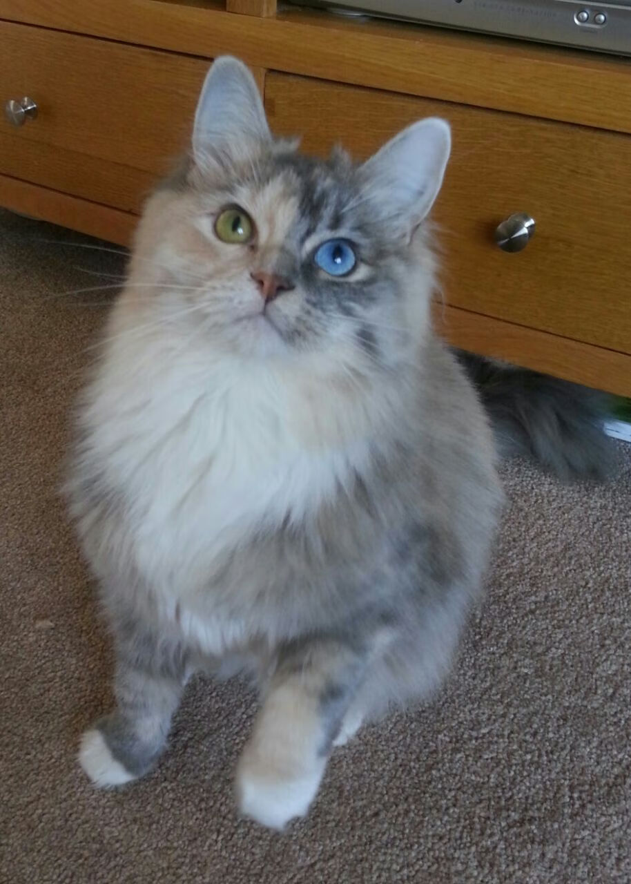 国际热身赛国足平局 战术布置得到肯定,国际足联热身赛