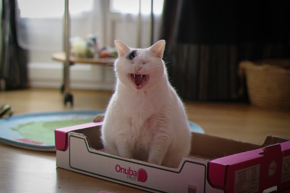 开云网页版-拉齐奥连续抢断提升攻防转换效率，拉齐奥最强时期