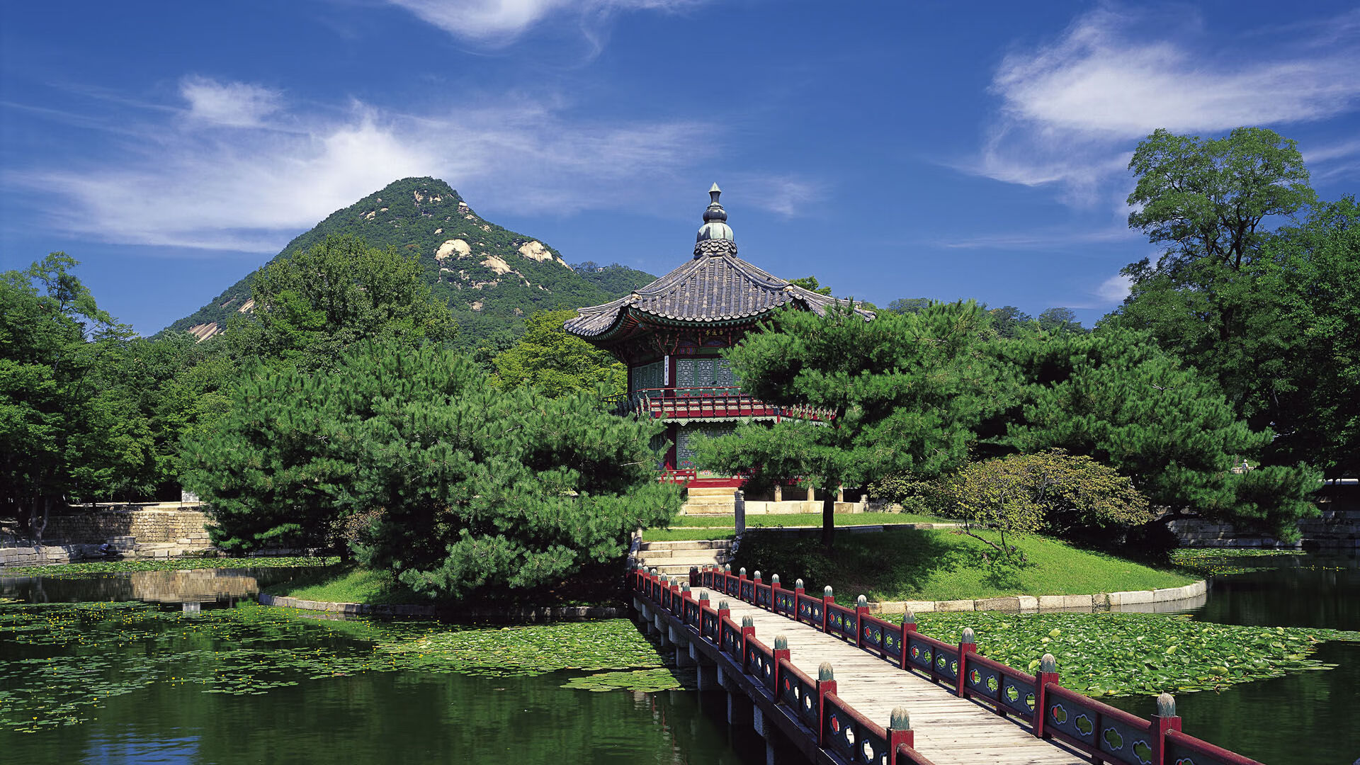 美国队的未来:如何通过战术创新超越传统强队,美国的队伍