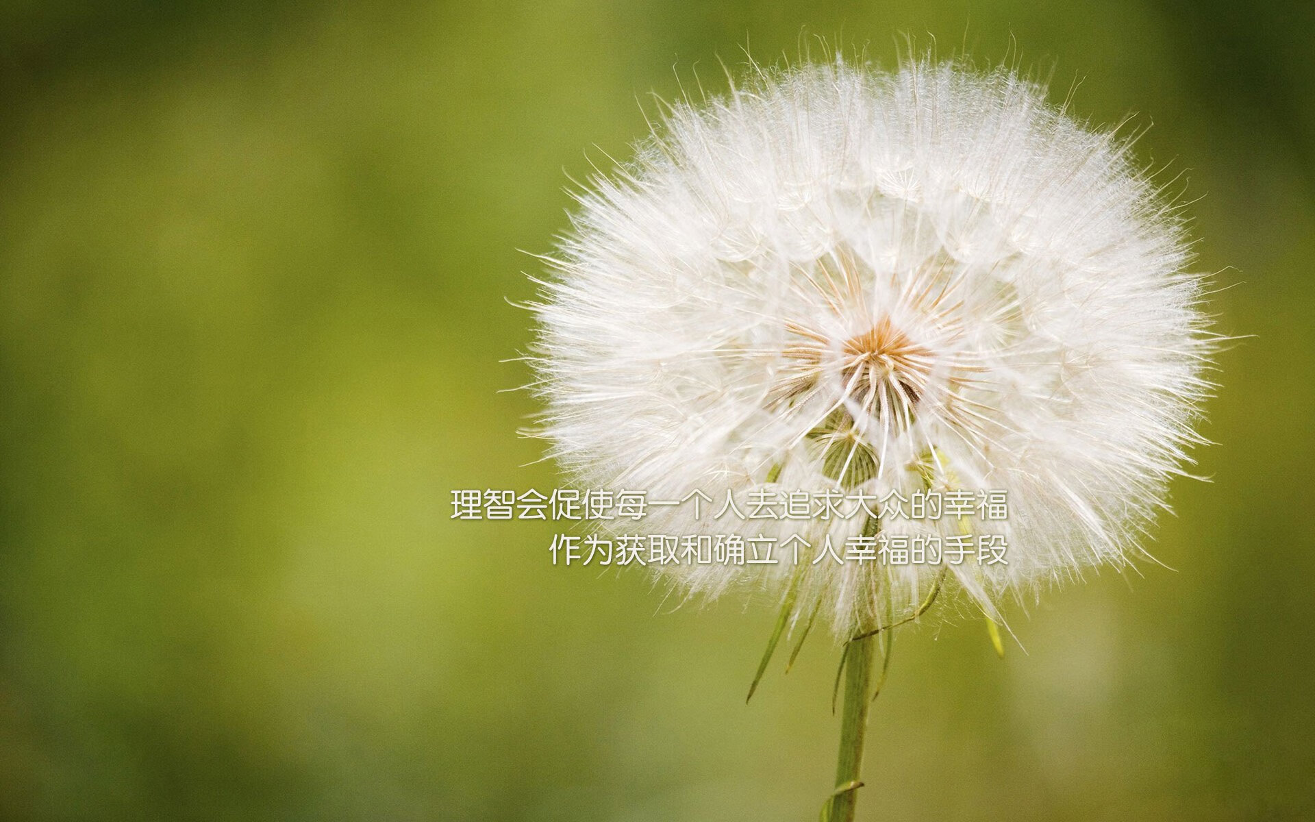 中国女排新主攻连得十分引热议，中国女排新阵容