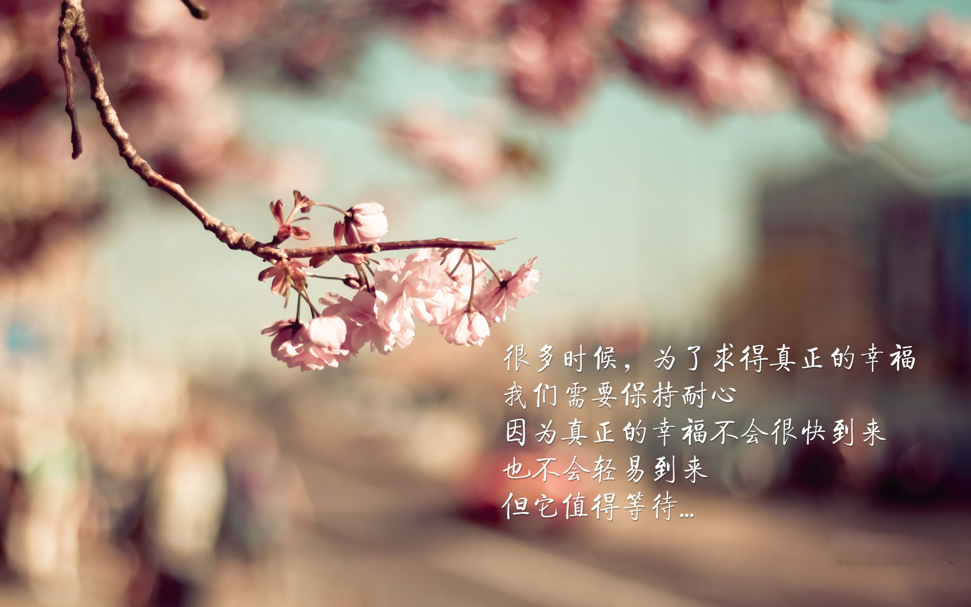 塞尔维亚女篮在欧洲锦标赛中表现不俗，誓夺金牌以求突破，塞尔维亚女篮球