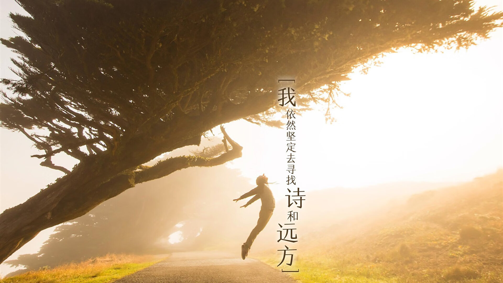 弗朗索瓦·斯图尔特:出色的进攻组织者,带领南非队稳步向前,弗朗索瓦莱特瑞尔