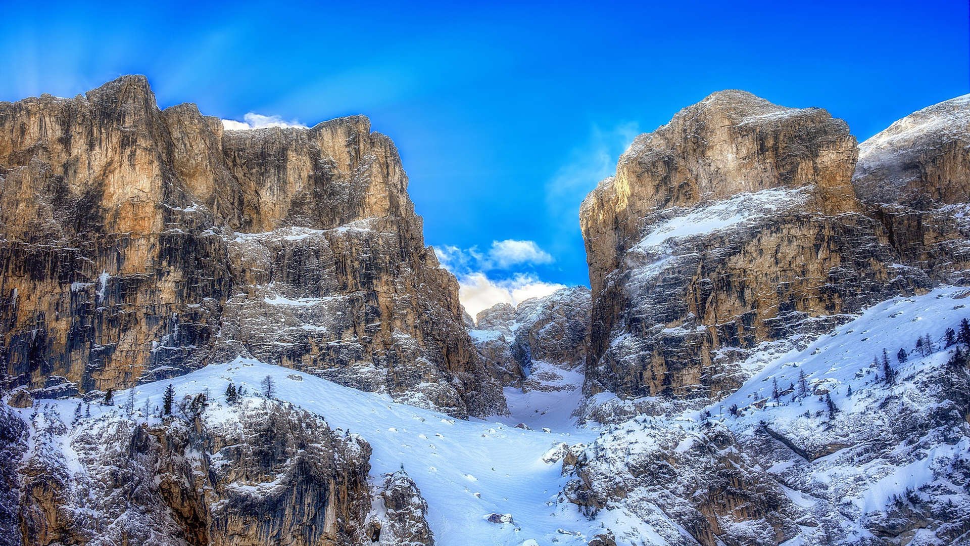 开云入口-技术动作规范性与世界标准同步，技术动作规范的重要性