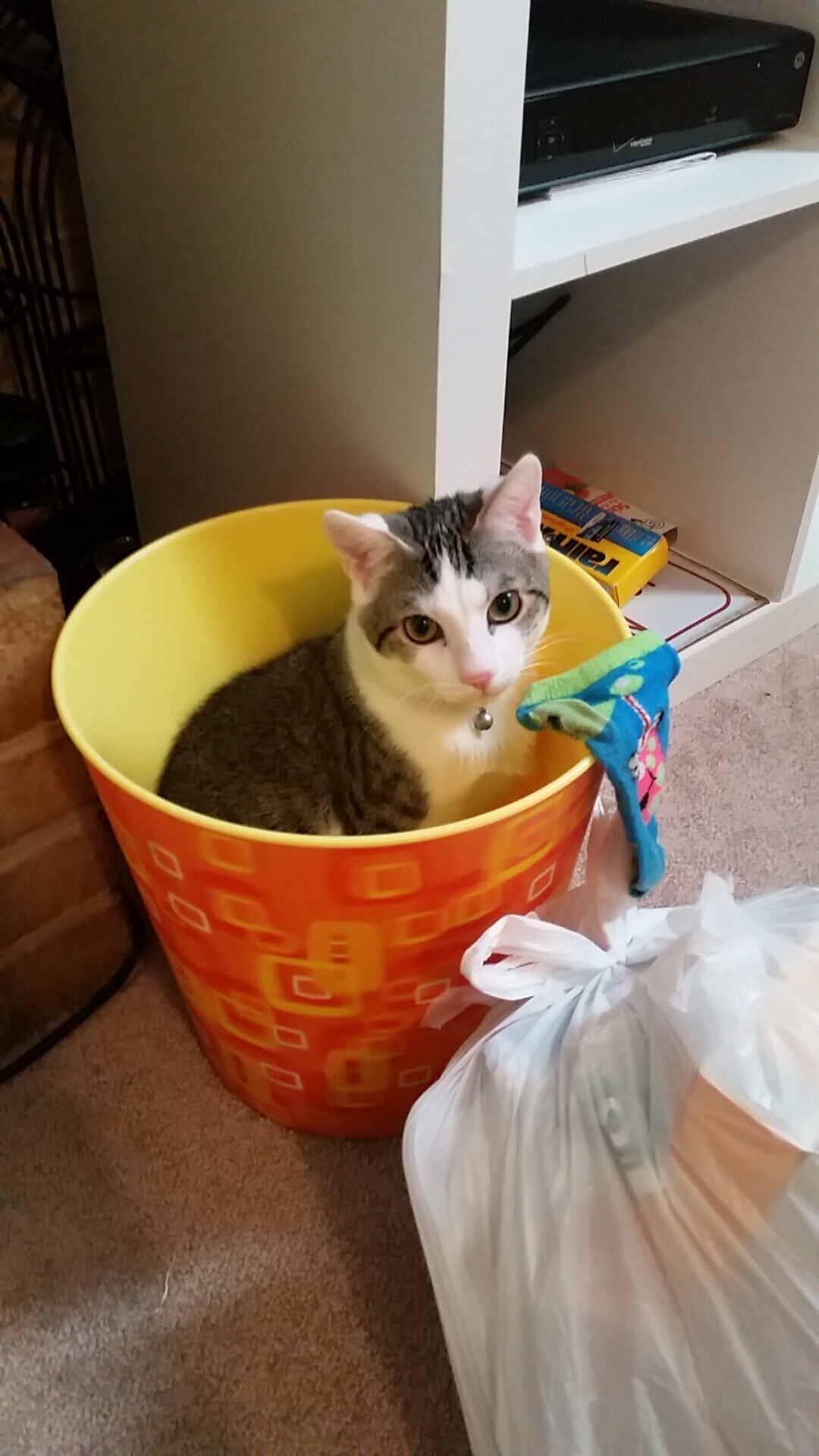 欧洲杯战术升级:变阵、突破、新战例!,欧洲杯2021新规则