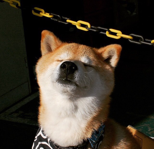 水球快攻突尼斯男队形成压制