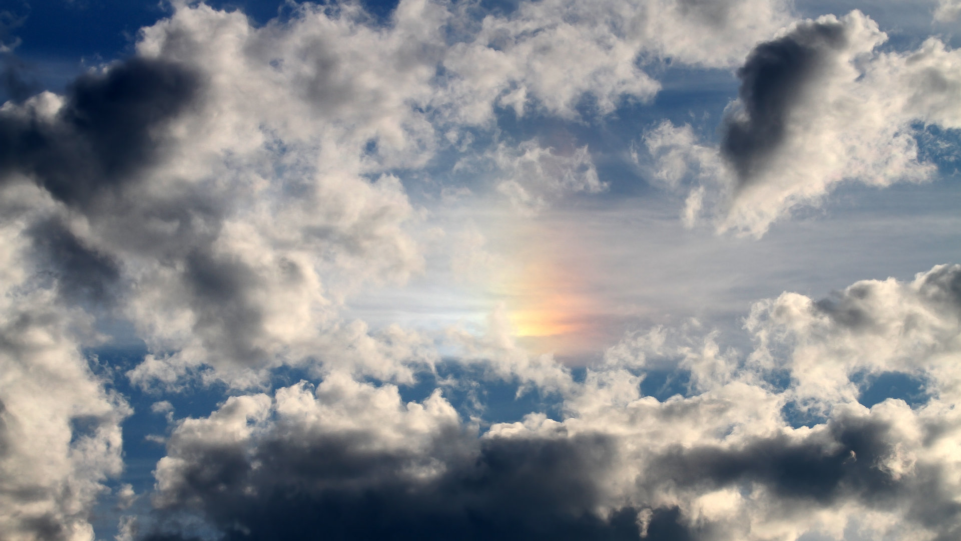 法甲新星闪耀:未来领军人物!,法甲新秀