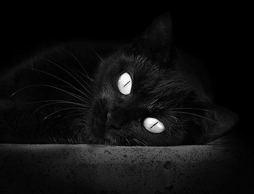 英超冠军最后冲刺:一场场“生死战”精彩绝伦