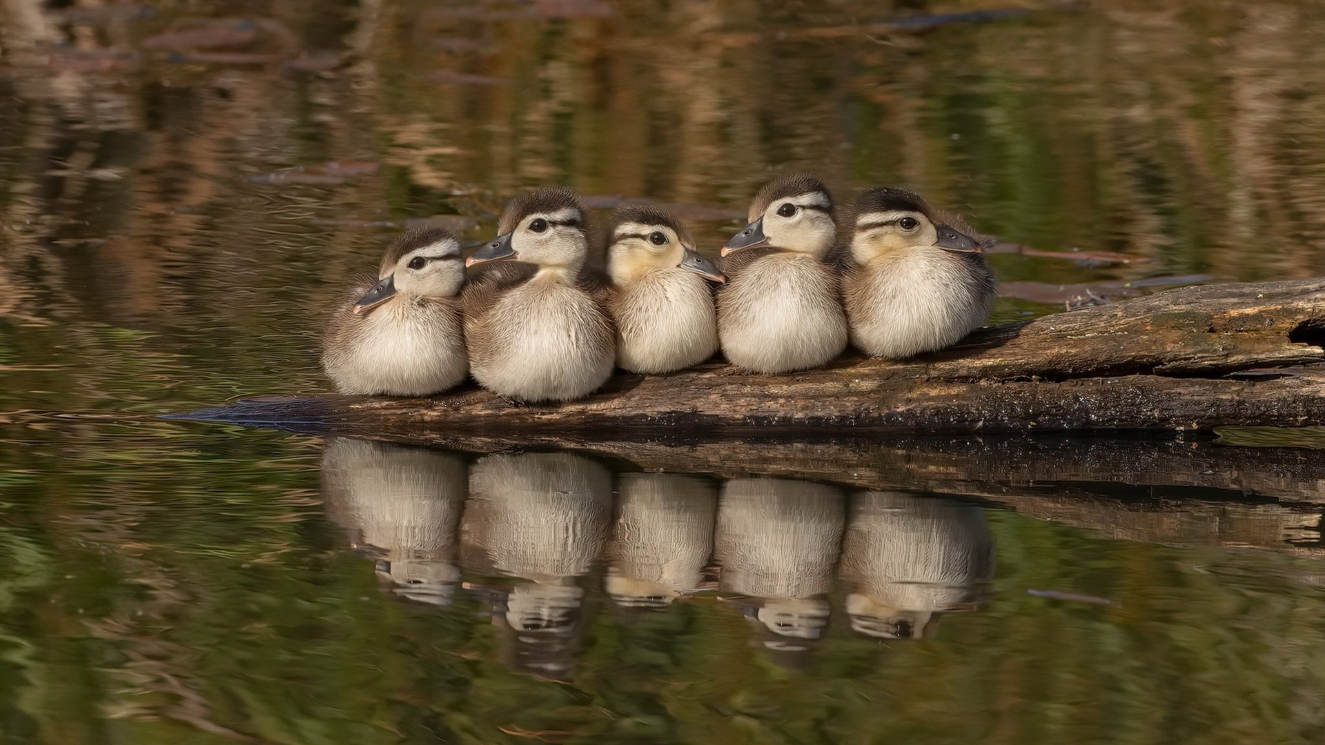 kaiyun官方网站-西甲超级长传：瞬间突破，精彩纷呈！，西甲传奇